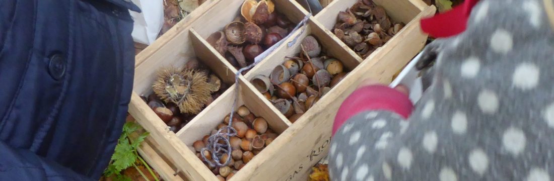 MEC zoekt vrijwilligers
